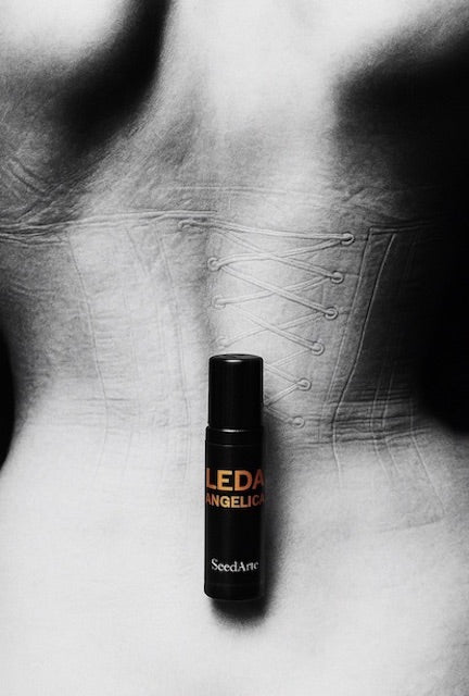 LEDA ANGELICA perfume oil - 10ml