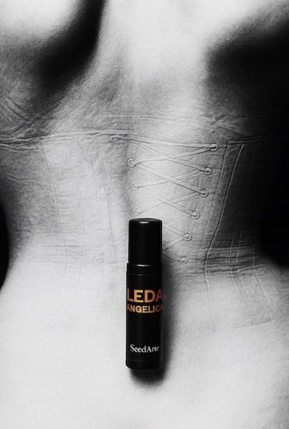 LEDA ANGELICA perfume oil - 10ml